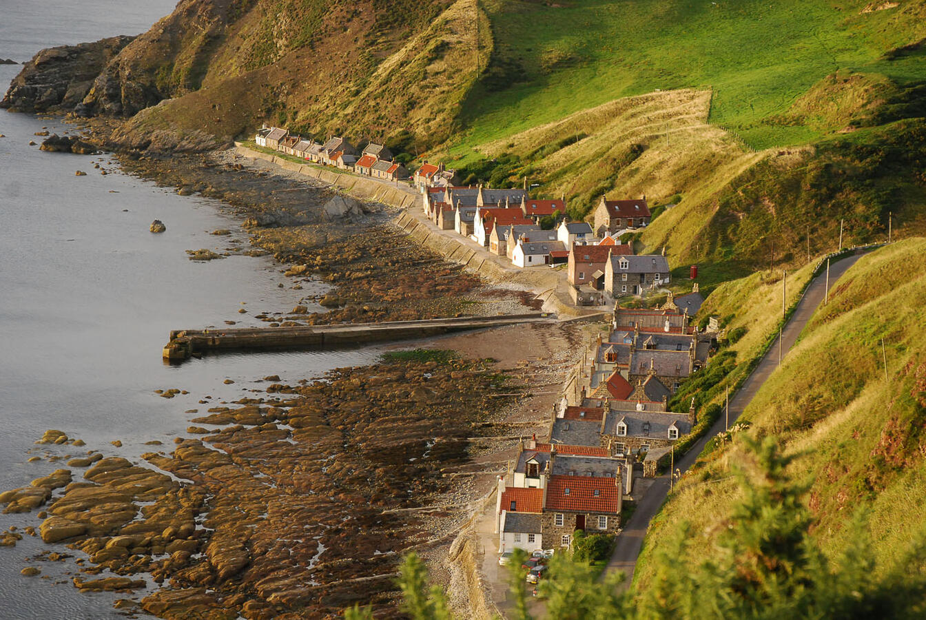 Crovie Crovie